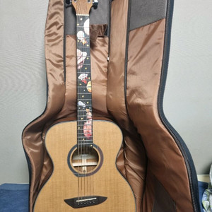 고퍼우드 g110 통기타