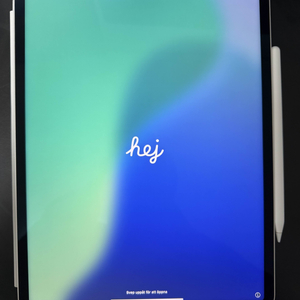 아이패드 프로 12.9 인치 M1 5세대 실버 + 애플펜슬 2세대