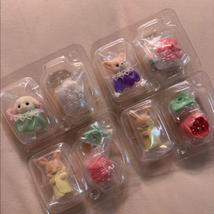 실바니안 아기꽃밭 개당 6,500원