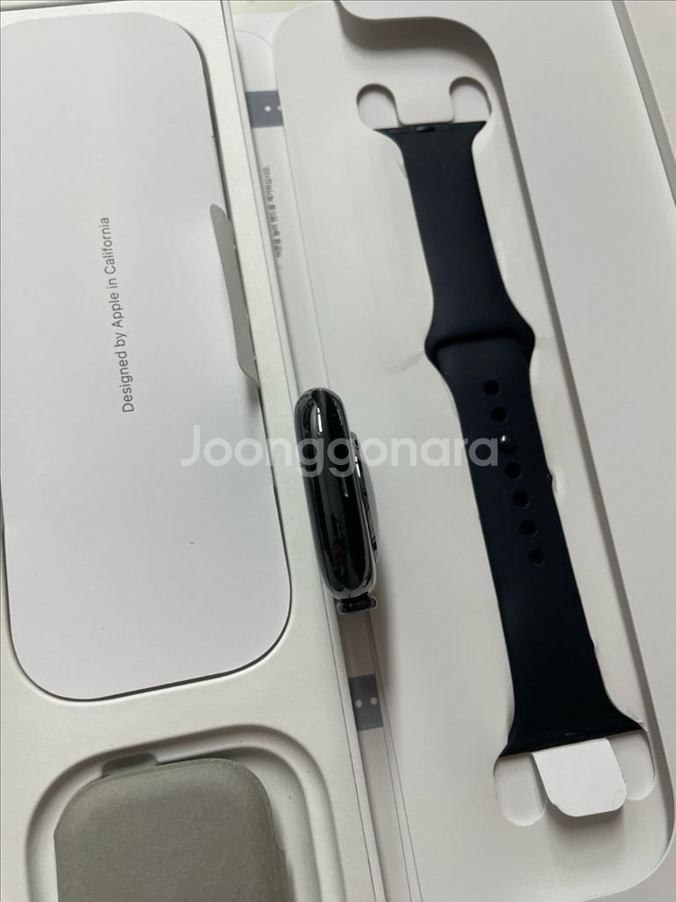 애플워치10티타늄 46mm 셀룰러 SSS급--4