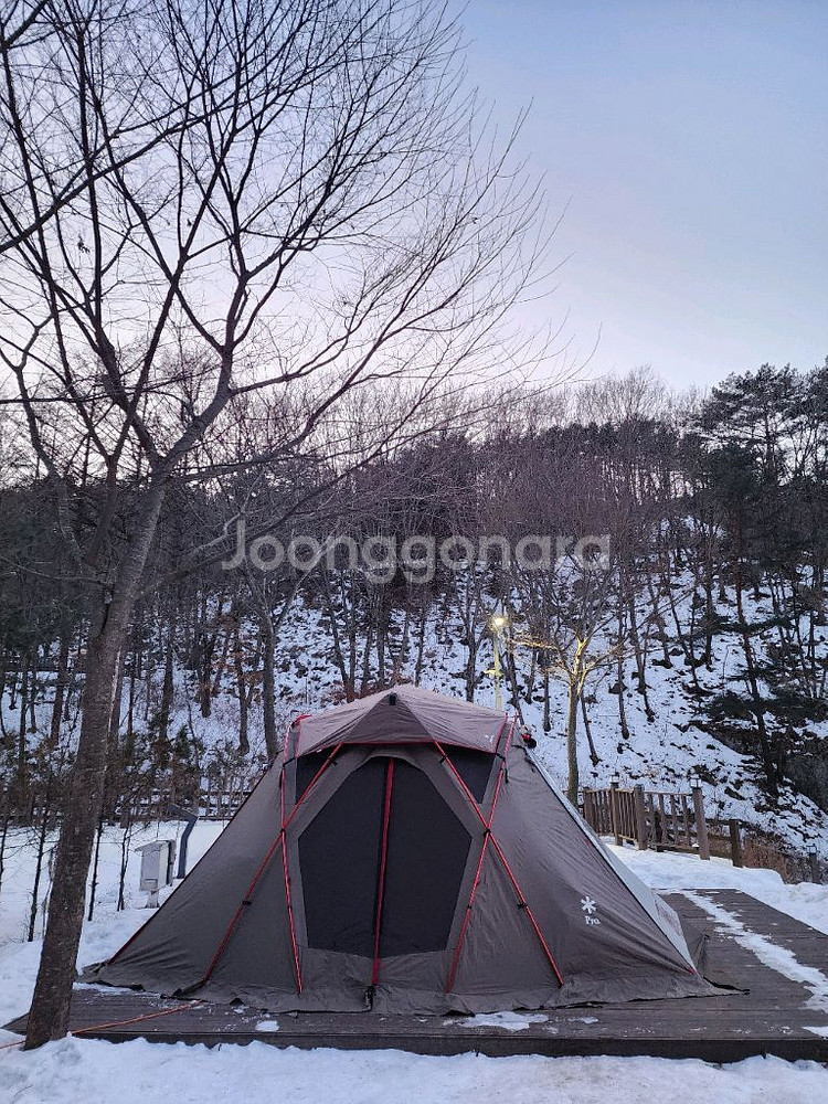 스노우피크 60주년 리빙쉘 풀세트--1