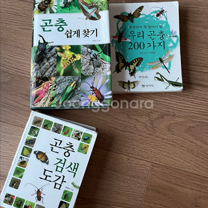 [곤충 책] 우리 곤충 200가지 택포 11천원