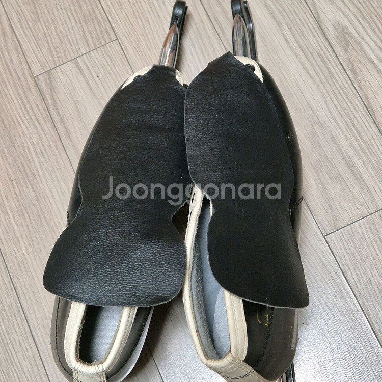 스케이트화 250--3