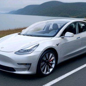 테슬라 코리아 정품 액세서리 판매 네고가능