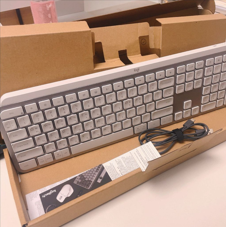 로지텍 KEYS S 무선키보드 + MX Master 4 마우스 페일그레이 세트 이미지