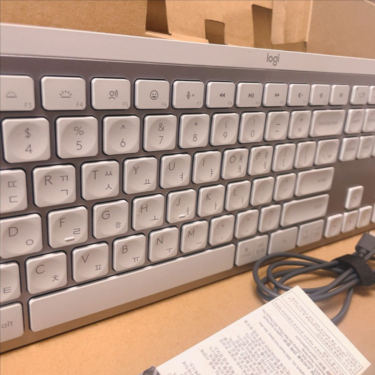 로지텍 KEYS S 무선키보드 + MX Master 4 마우스 페일그레이 세트 이미지