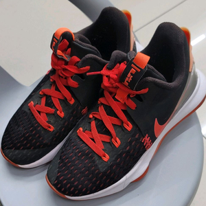 나이키 르브론 농구화 250mm