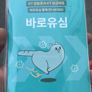 kt바로유심 8800원짜리 상품