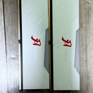 DDR5 48gb 60000mhz cl28 하닉m다이 상급램