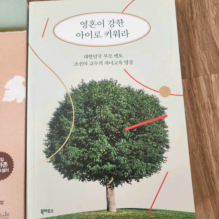 너는 나에게 상처를 줄수 없다. 영혼이 강한 아이로 키워라 2권--2