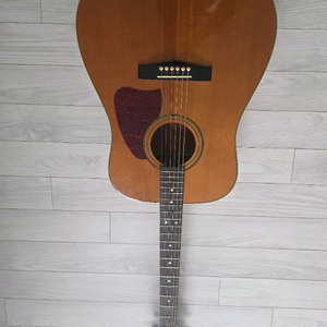 아이바네즈 AW통기타