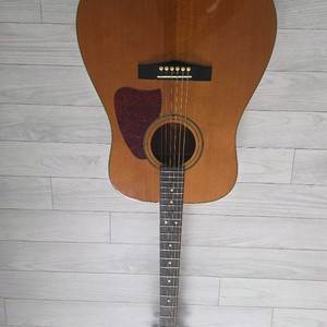 아이바네즈 AW통기타