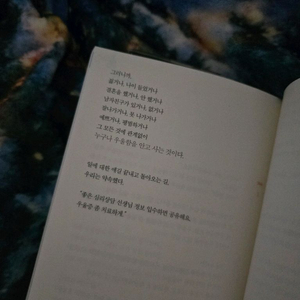 삽니다) 에세이 시집 추리소설만요!