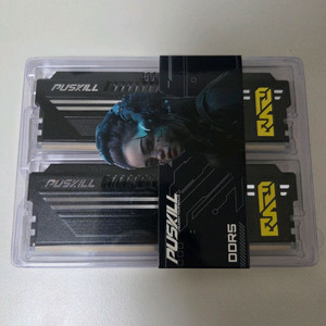 PUSKILL FUSE DDR5 16GB x 2 = 32GB 6400MHz CL38 램 메모리