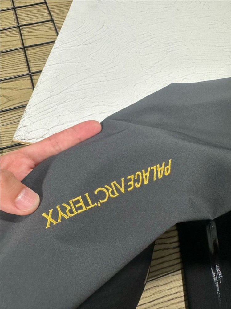 아크테릭스x팔라스 알파 고어텍스 자켓--4