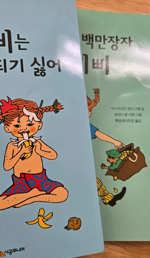 비룡소클래식 새책-빨간머리앤,키다리아저씨 등 7권/시공주니어 문고-삐삐,마틸다,샬롯의거미줄 등 이미지