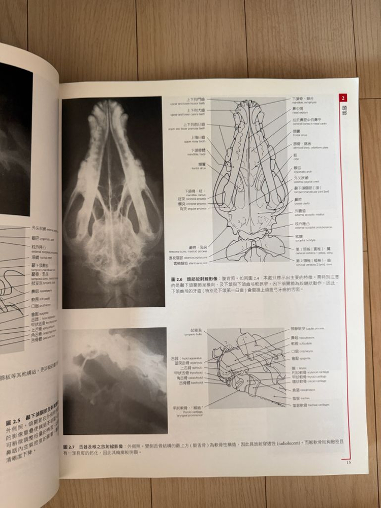 수의해부학 컬러 아틀라스 (중국어)--1