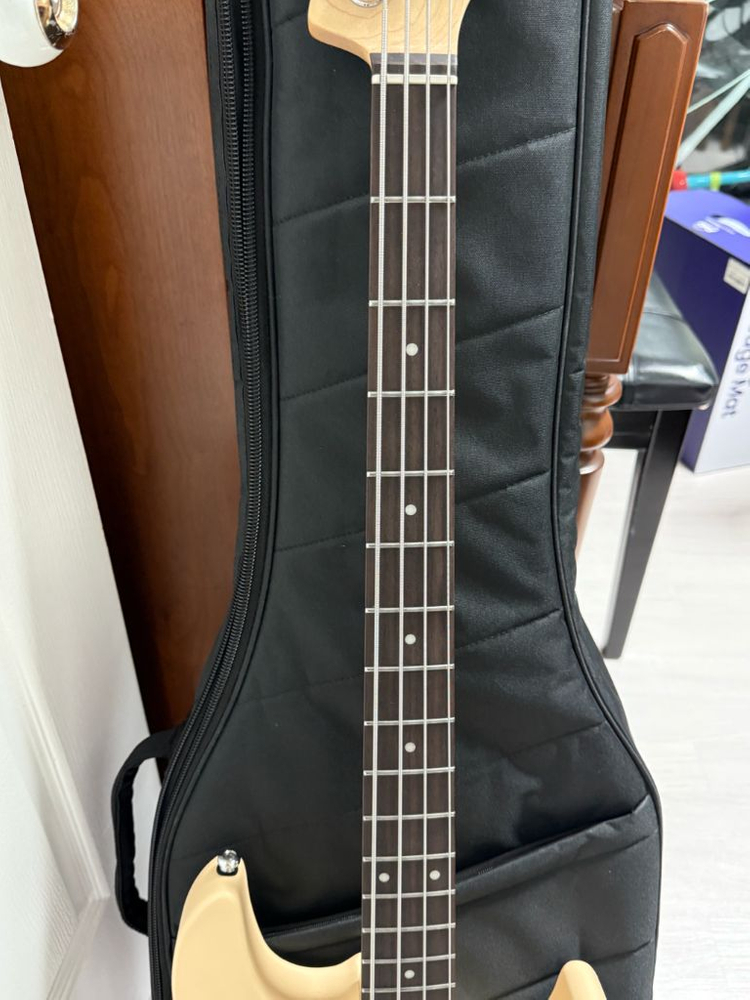 헥스 베이스 기타 RB100--4