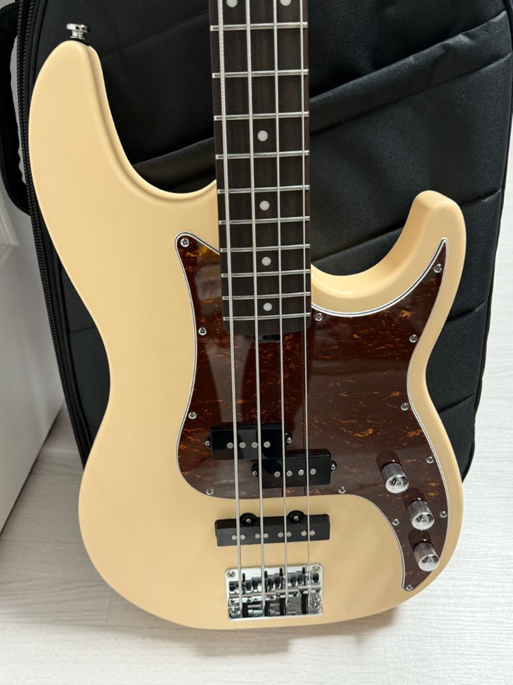 헥스 베이스 기타 RB100--5