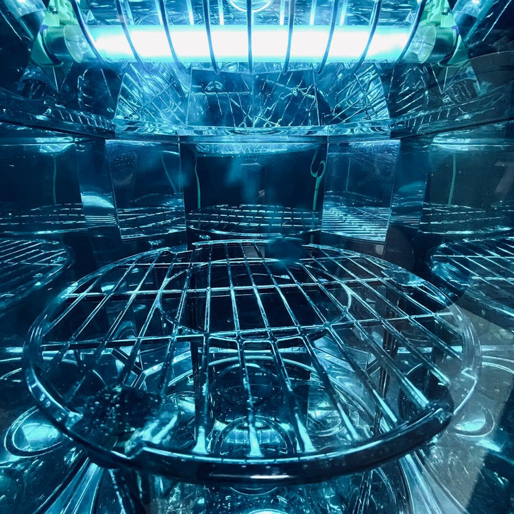 PURITY 젖병소독기--2