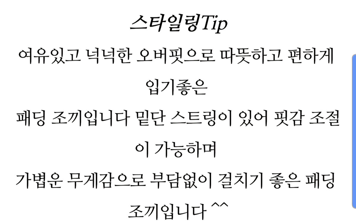 나인스텝 스카이패딩 조끼 free--4