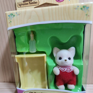 실바니안 치와와 직립 올드 아기