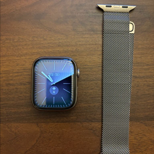 애플워치8 45mm 스테인리스 셀룰러