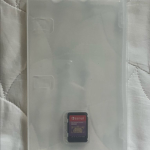 닌텐도스위치 포켓몬스터 바이올렛칩