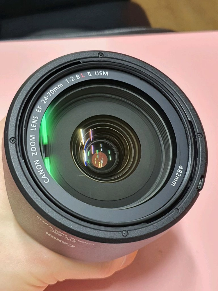 캐논 24-70 II 신계륵 박셋 A급 이미지