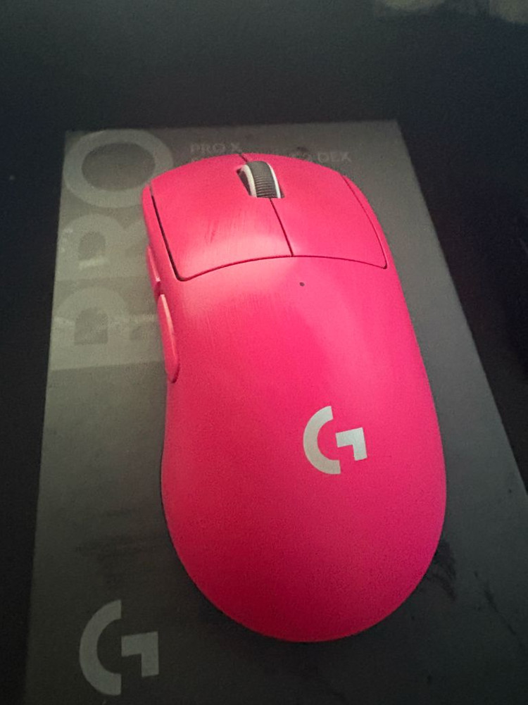 지슈라 덱스 핑크--2