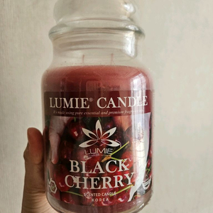 르미에 캔들 630g