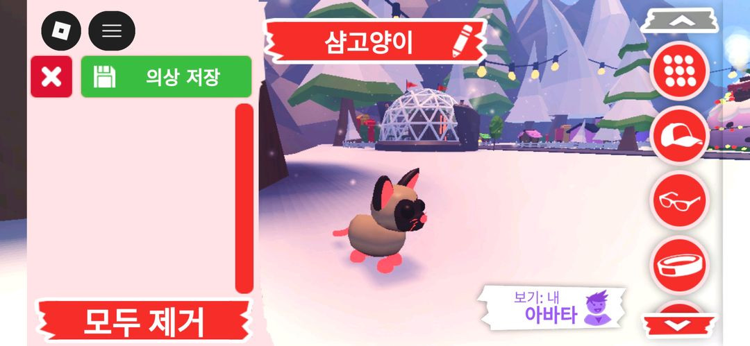 입양하세요 펫 네온 샴고양이(네샴)판매햅니다 이미지