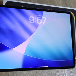 아이패드 프로 13인치 m4 256와이파이 블랙