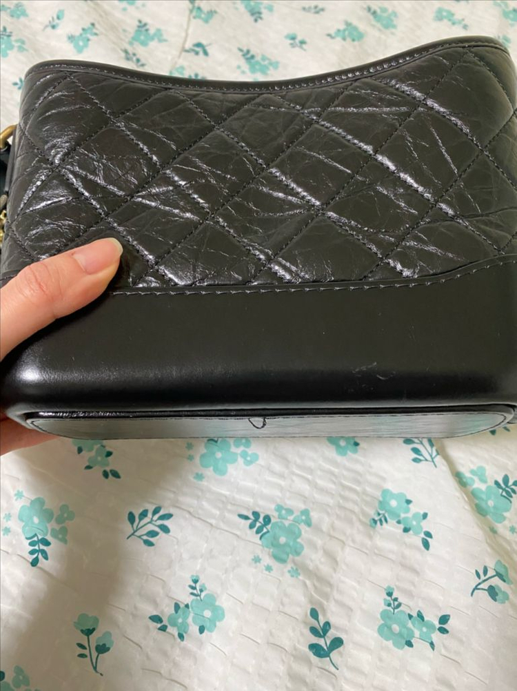 가브리엘 호보 이미지