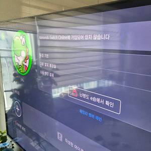닌텐도 온라인 추가팩 모집합니[마감] 이미지