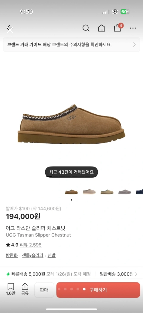 어그 타스만 260 이미지
