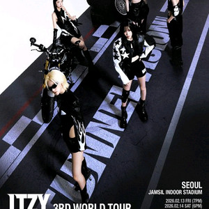 있지 월드투어 양도