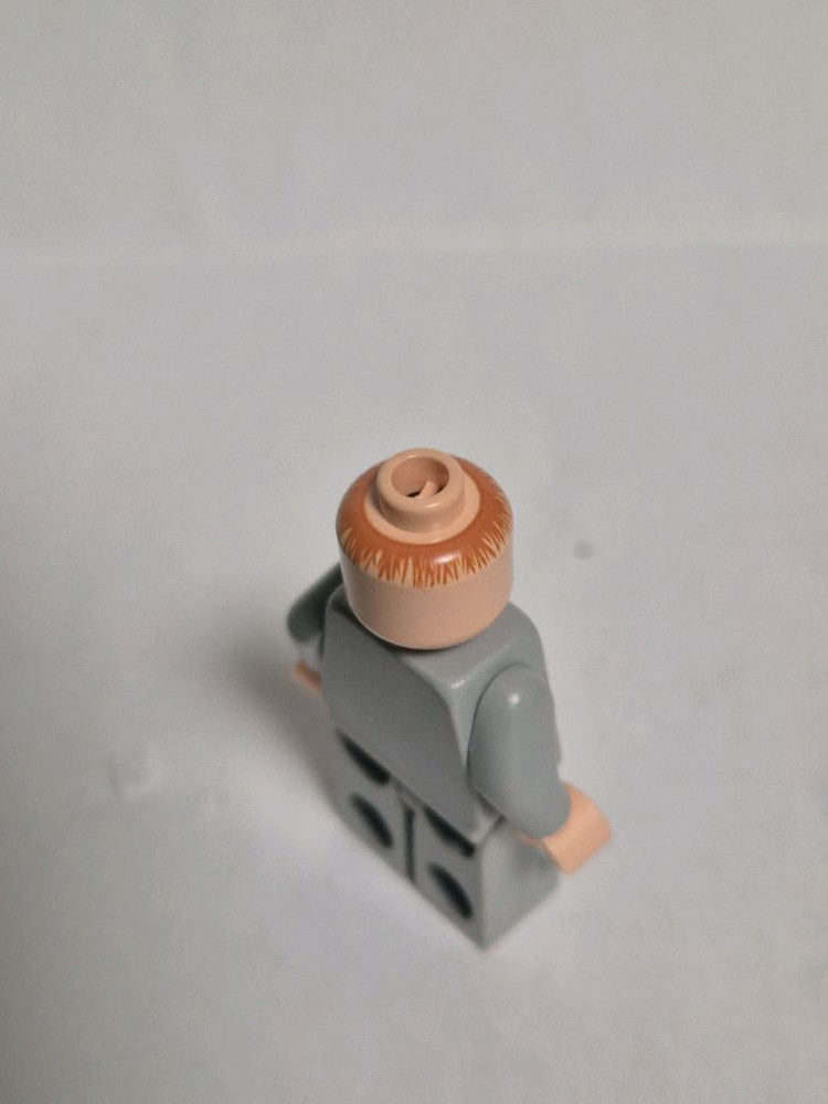 레고 해리포터 피터 페티그루 미니피규어(4756) 이미지