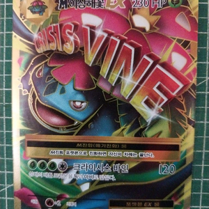 포켓몬카드 M이상해꽃 EX SR (cp6 20주년)