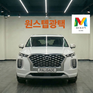 팰리세이드 원스텝광택