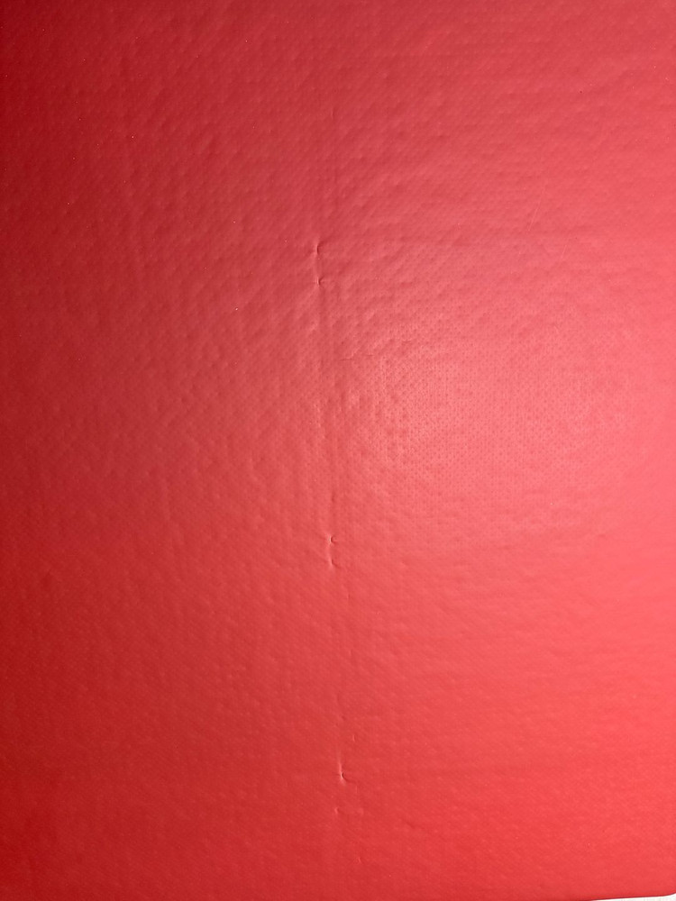 에어포스 캠핑 에어매트 (수동 발 펌프, 자동 펌프 OV10, 호스 포함) 이미지