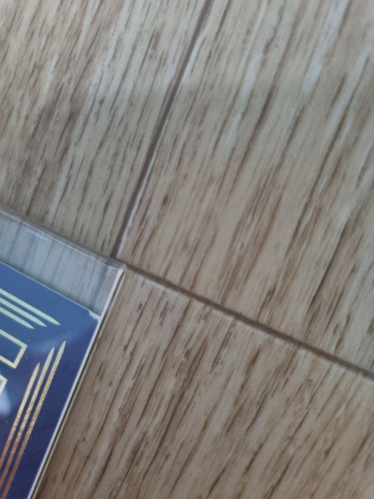 체인소맨 레제 금박 카드 엽서 희귀굿즈--1