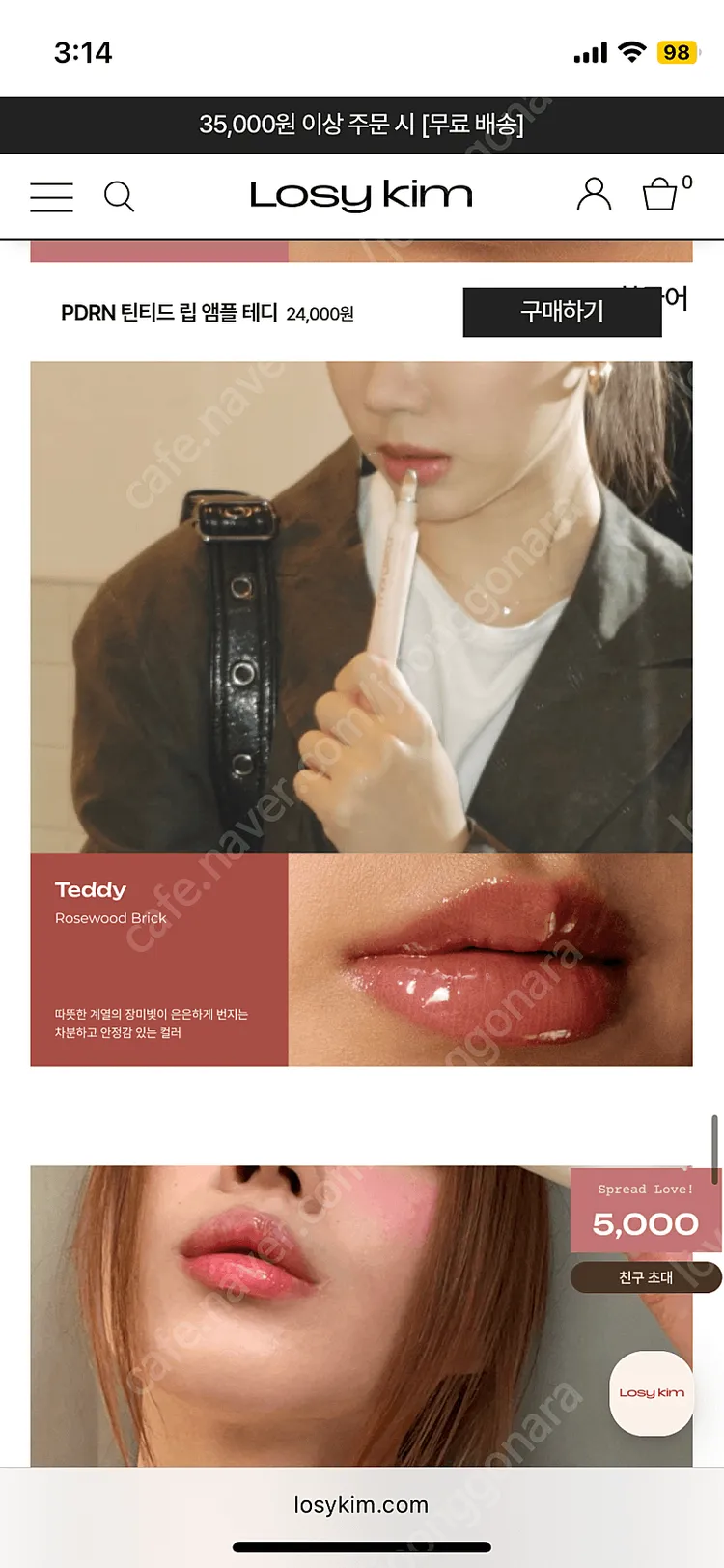 거의새거)로지킴 틴티드 립 앰플 테디 올리브영 립스틱 틴트 클리오 에뛰드 이미지