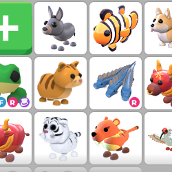 입양하세요 펫 팝니다 제시해주세요 이미지