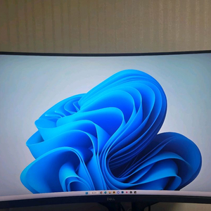 Dell 32인치 165 QHD 커브드 게이밍 모니터