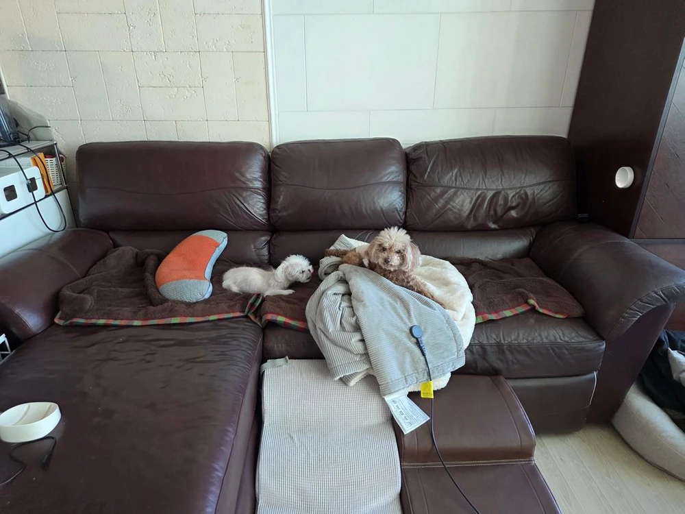 까사미아 장롱 2셋 , 레이지보이 카우치소파 , 시몬스 침대 평상형,5단서랍장,장식장,엔틱서랍장,빈티지서랍 - 안심되는 중고거래