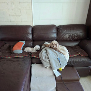 까사미아 장롱 2셋 , 레이지보이 카우치소파 , 시몬스 침대 평상형,5단서랍장,장식장,엔틱서랍장,빈티지서랍 이미지