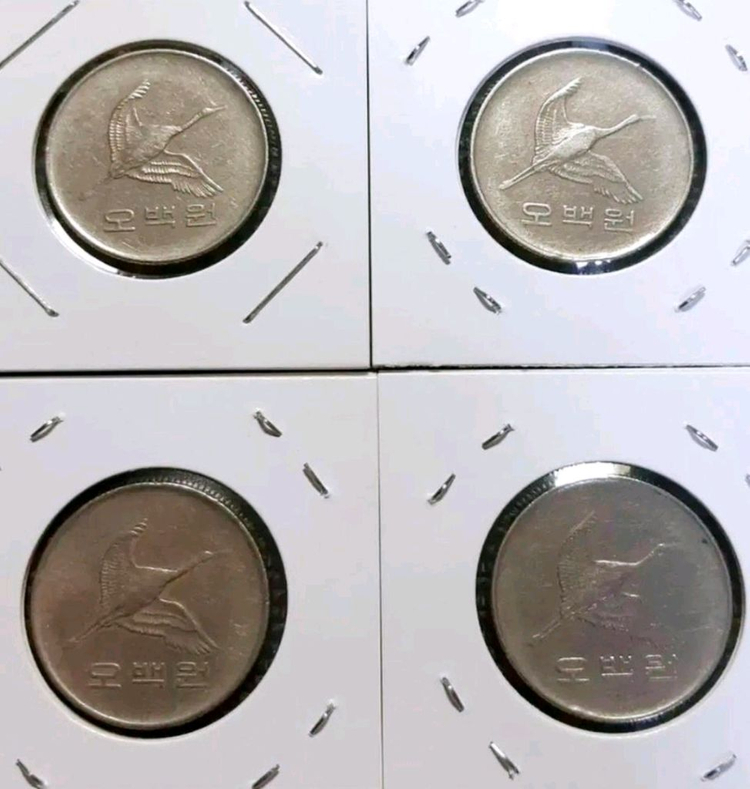 준특년 1982년 500원주화 4개일괄.주화 한국은행 화폐 동전 이미지