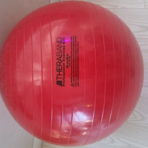 세라밴드 엑서사이즈볼 55센치 짐볼