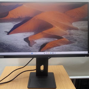 레노버 ThinkVision E24-40 59~61cm(24인치)